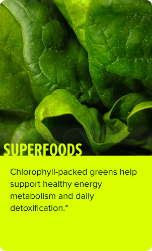 Superfoods Ingredient Card