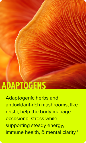 Adaptogens Ingredient Card